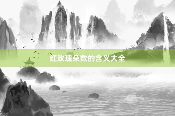 红玫瑰朵数的含义大全